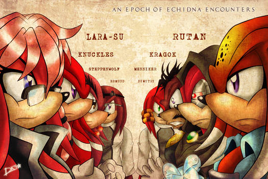 An Epoch of Echidna Encounters