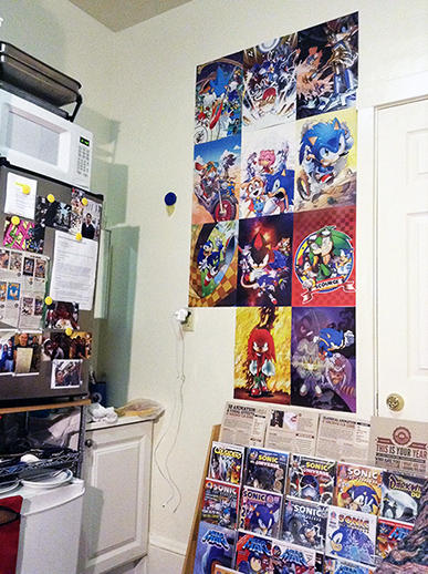 Sonic Super Special: Posters in Darkspeeds Room 03 by darkspeeds