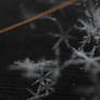 Makro Snowflakes