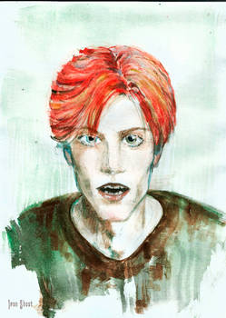 David Bowie