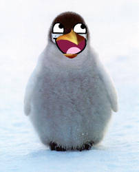 PengWIN