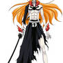 Kurosaki Ichigo Hollow