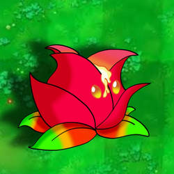 Magmalechuga