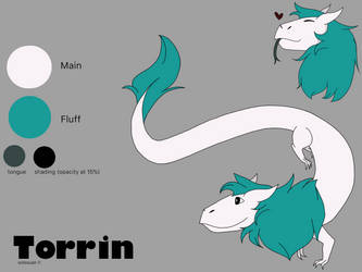 Torrin Reference Sheet