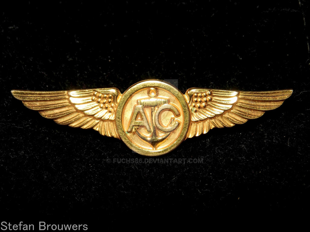 Navy Aircrew Wing By Fuchs86 On DeviantArt navy-aircrew-wing-by-fuchs86-on-deviantart
