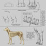 .:Canine Leg Tutorial:.