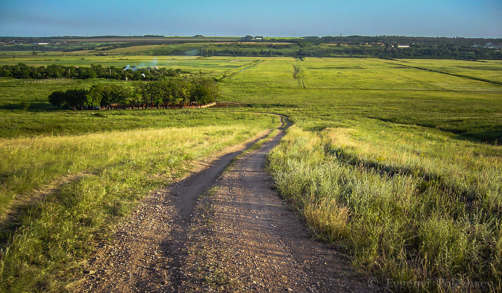 Summertime countryroad