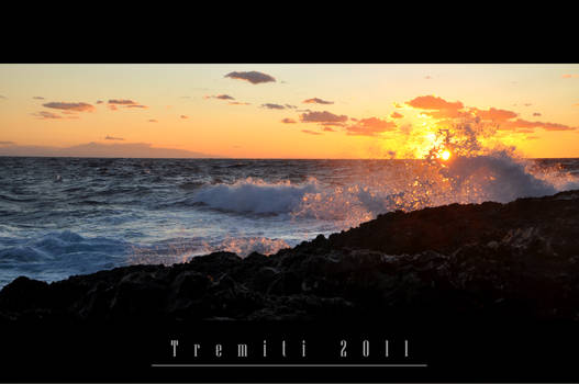 Water Dragon at sunset