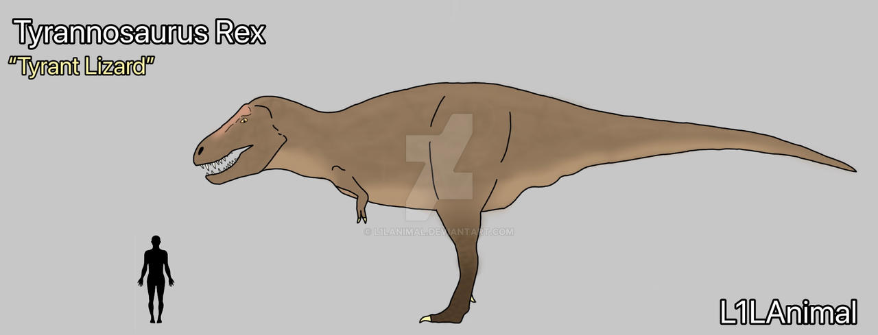 TAB: Tyrannosaurus Rex by L1LAnimal on DeviantArt