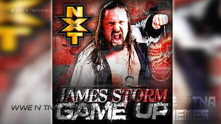 WWE James Storm Custom Cover