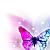 butterfly icon