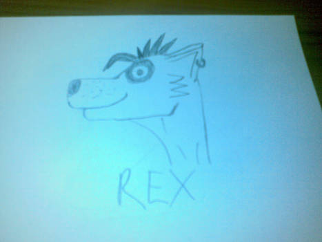 Pets life - REX