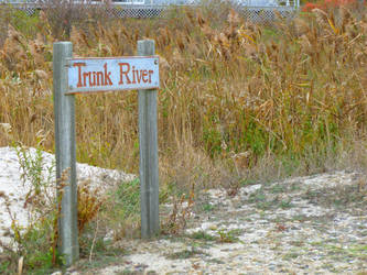 Trunk River