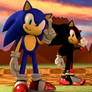 Sonic And Shadow In Green Hill