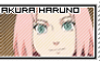 Sakura Haruno