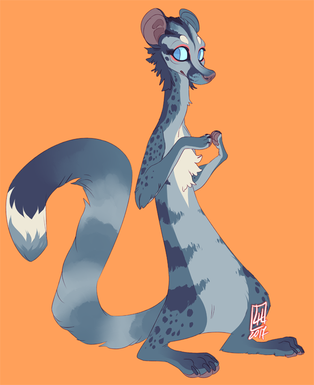 Civet for Sweet-n-treat