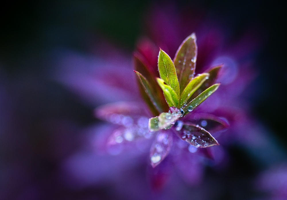 Coldness By JoniNiemela On DeviantArt