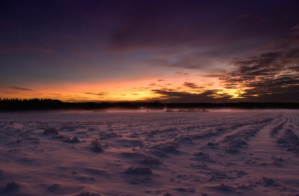 Purple Evening