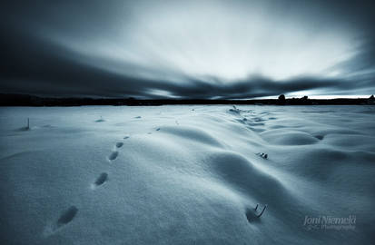 Tracks On A Glowing Snow