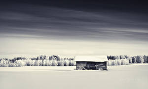 Fields Of Snow