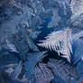Frost On Window