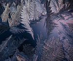 Frost On Window II by JoniNiemela