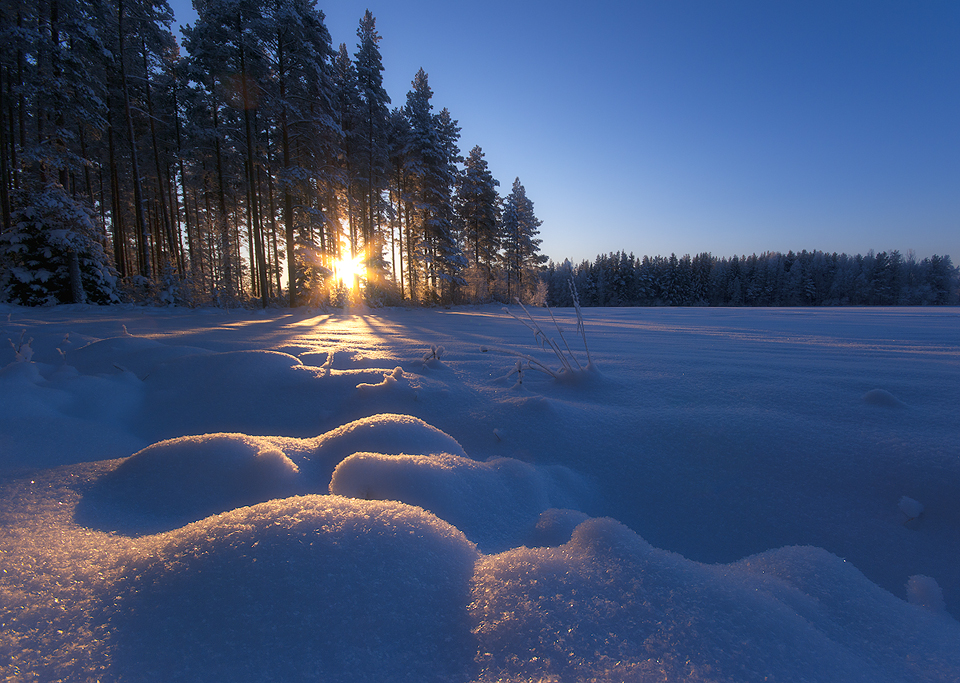 Crisp Winter Day