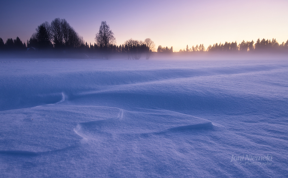 Winter Fog