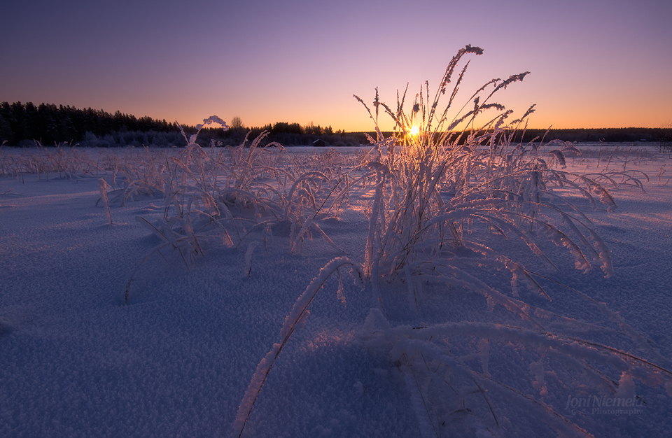 Winter Light II