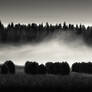 Haystacks In The Mist