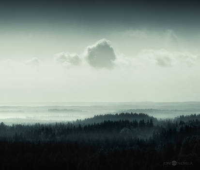 Tree Hill Forest by JoniNiemela