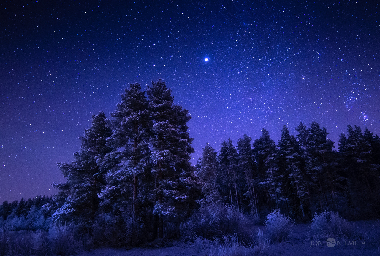 Under The Starry Sky