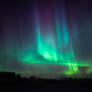 Northern Lights Of Christmas