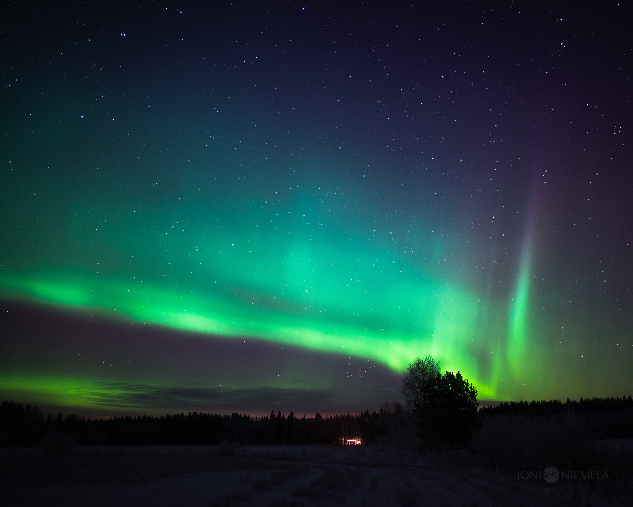 Christmas Auroras