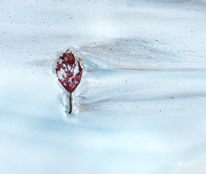 Washed Leaf