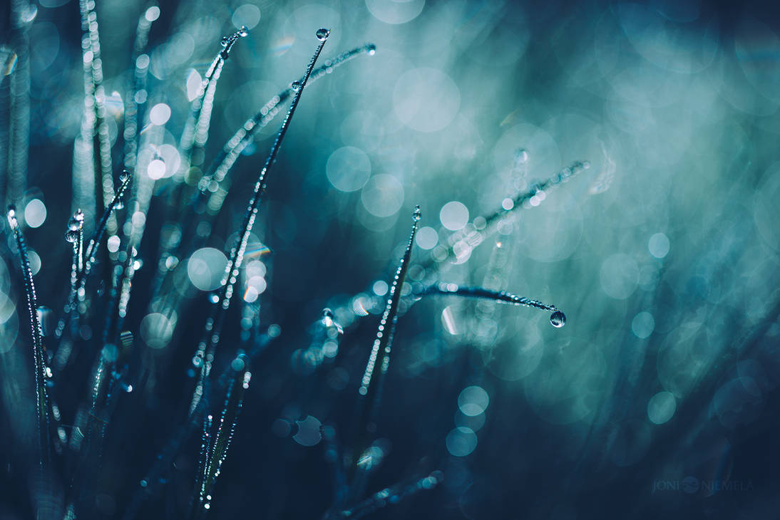 Blue Morning Dew by JoniNiemela Blue Morning Dew by JoniNiemela