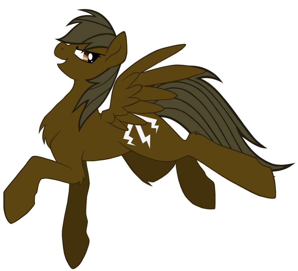 Brown Dash