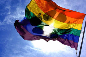 Bandera Furry Gay