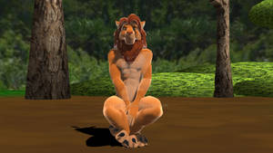 Simba New