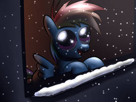 Filly Rainbow winter night