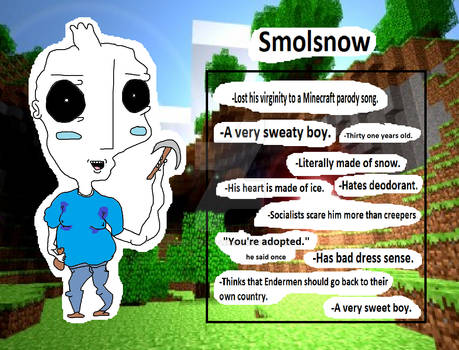 Smolsnow (MINECRAF OC REQUEAST!)