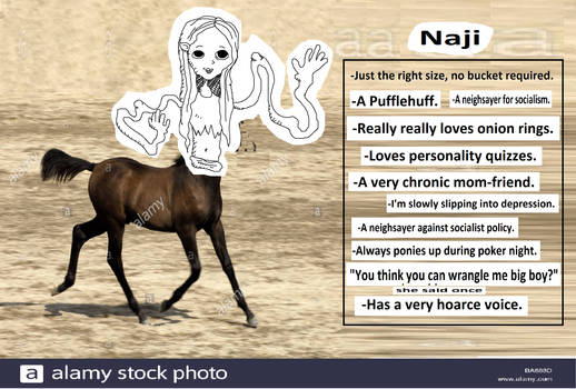 NAJI THE HORSEYLADY (OC REQUEST!!)