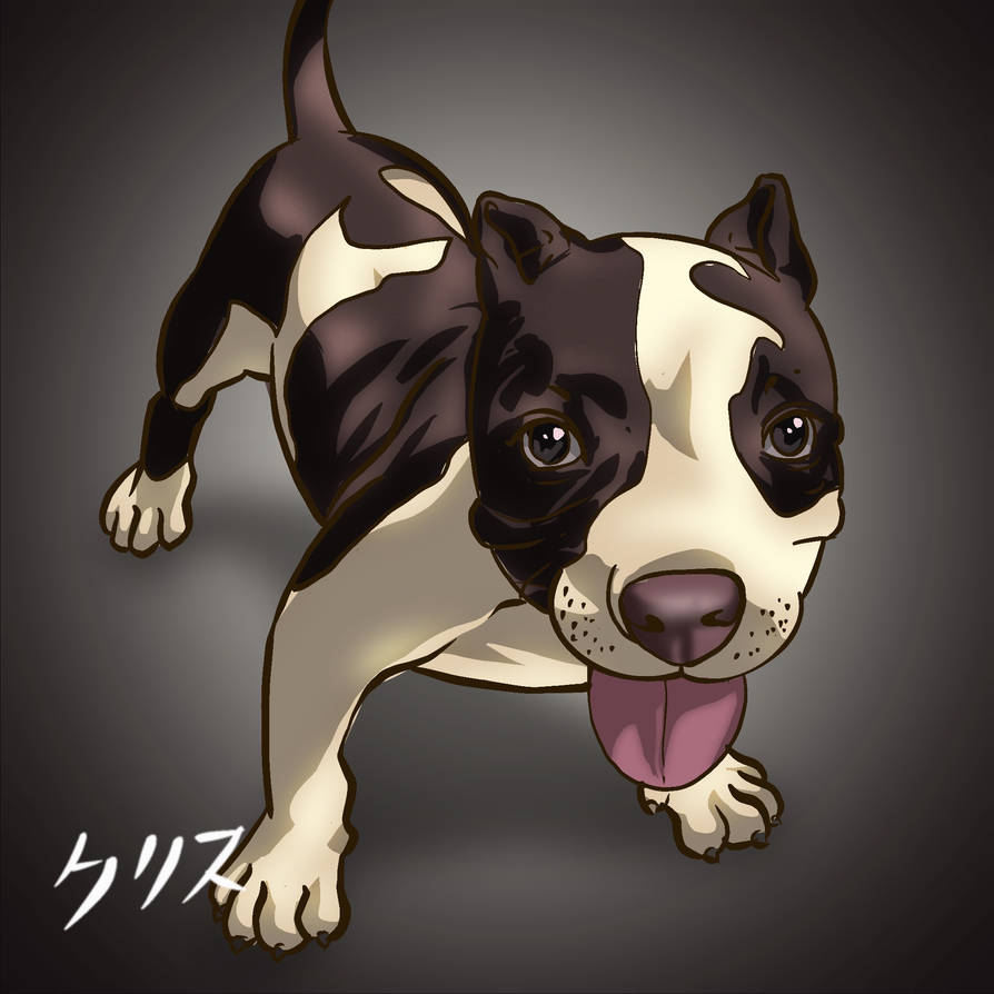 Bully Deviantart Bully by yourcris on DeviantArt