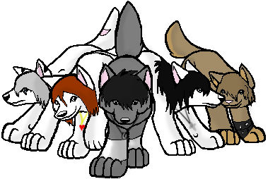 Cd Rudd Deviantart Wolfpack The pack by SupercrisXD on DeviantArt
