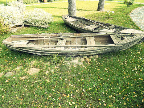 Fishing boats