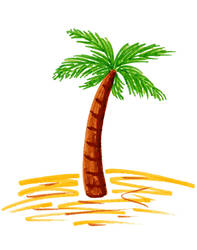 Palm Tree