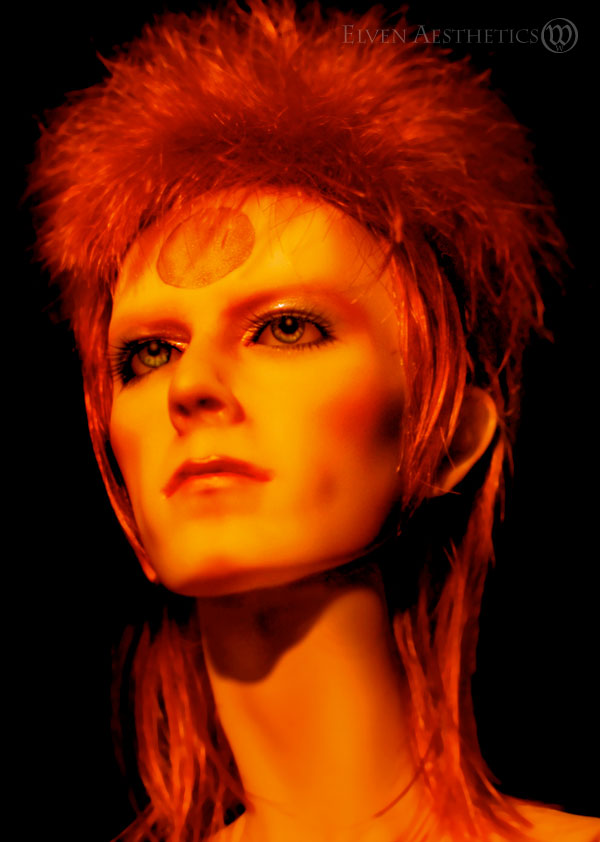 Ziggy Stardust