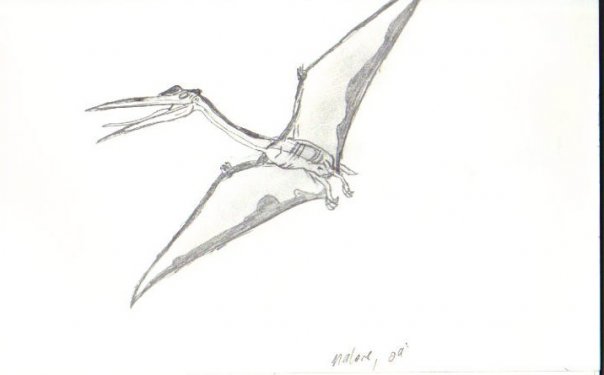 Quetzalcoatlus