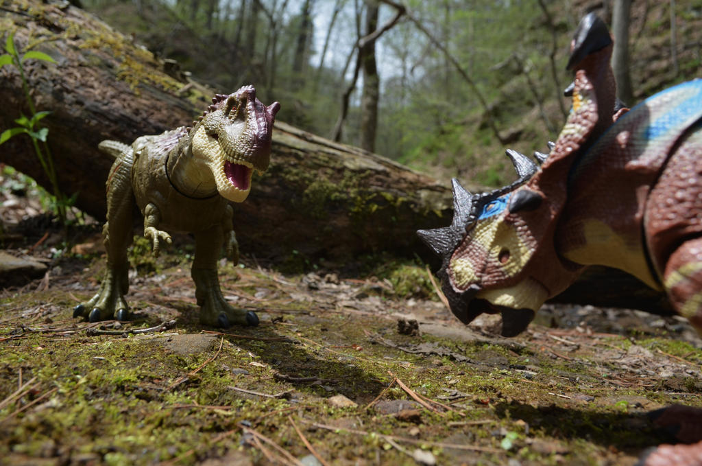 Albertosaurus vs Pachyrhinosaurus #3 by CrazyAsylumClown on DeviantArt