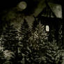 House in the dark forest